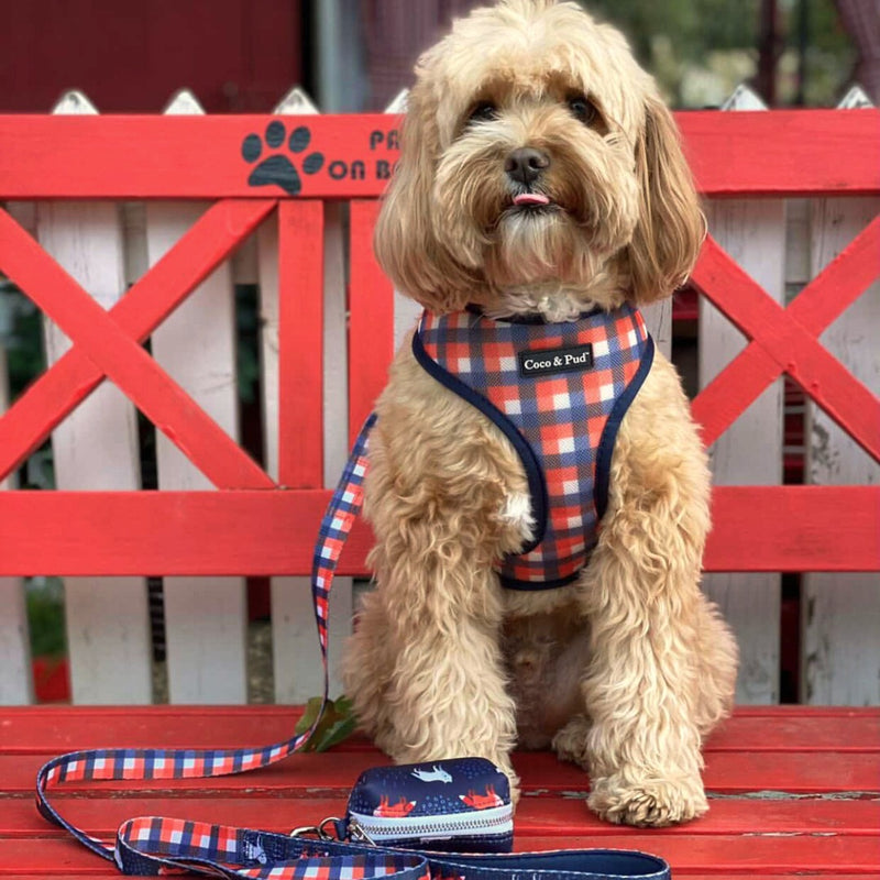 Coco & Pud Audrey Dog Harness, Dog Collar & Dog Bowtie