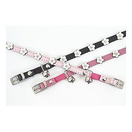 DOGUE Coco Cat with Flowers Collar - Coco & Pud