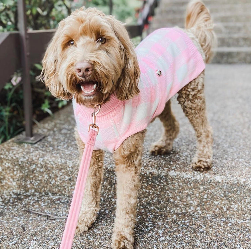 Fern in Coco & Pud Boston Pink Sweater