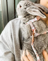 Coco & Pud Rabbit Harness & Lead 