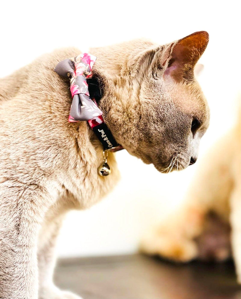 Milly in Coco & Pud Vintage Garden Cat Collar & Bowtie