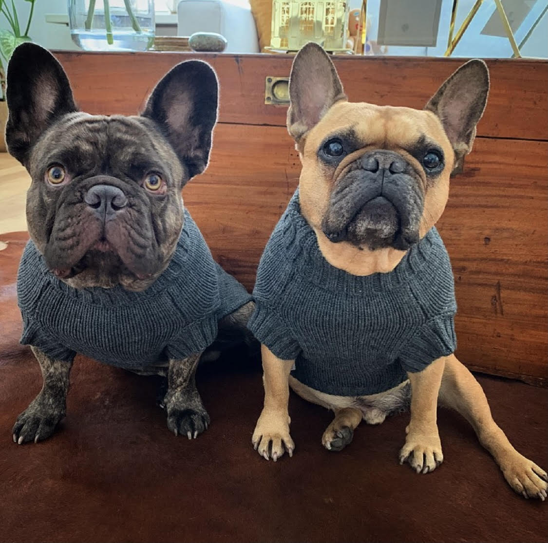 Teddy & Tommy in Coco & Pud Coco Cable Sweater Slate Grey