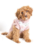 Willow in Coco & Pud Le Jardin Dog Harness & Coco Cable Rose Sweater